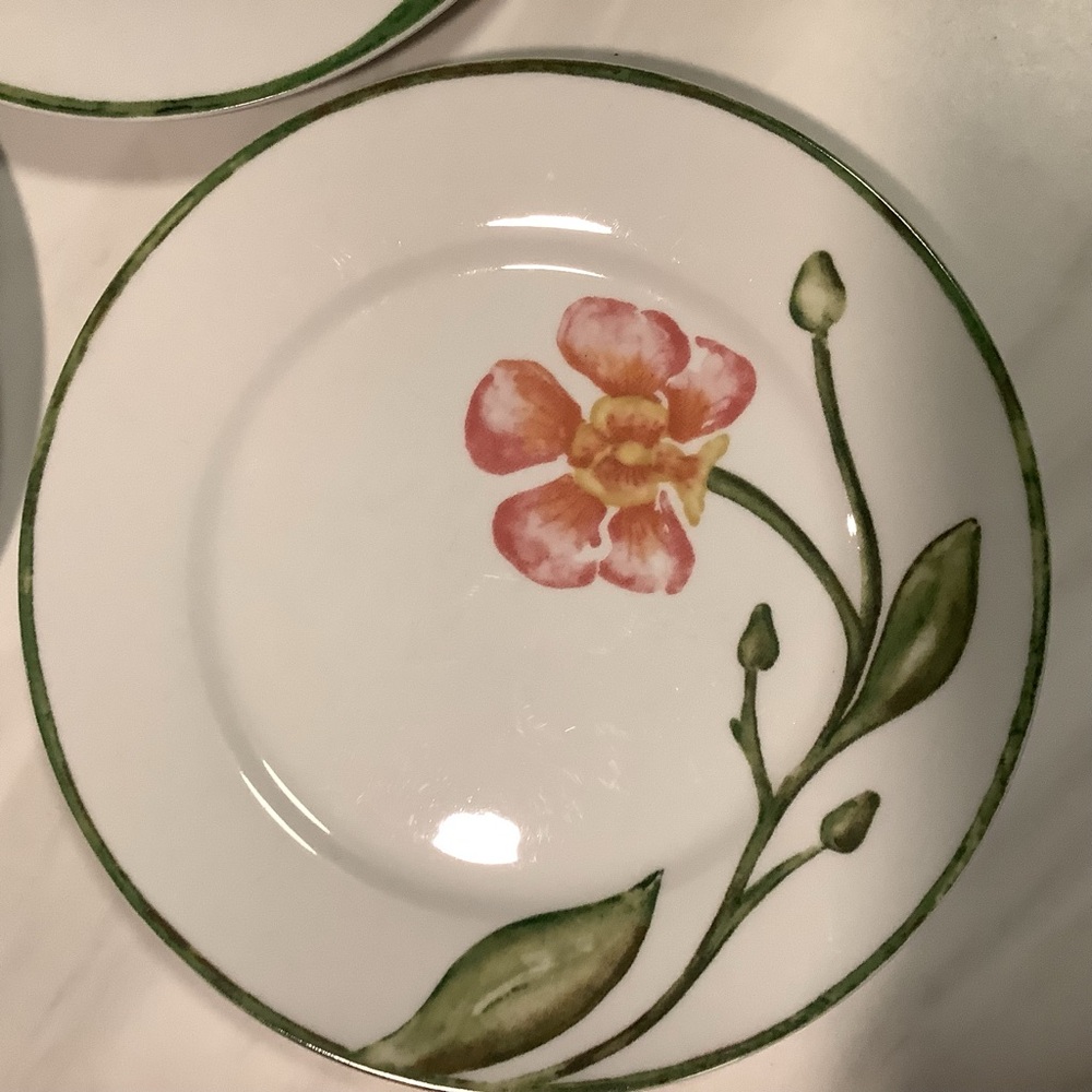 SET of 6 Pier 1 Imports Blooms Dessert Salad Plate Farmhouse Country - Picture 4 of 9